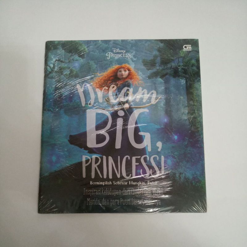 Buku Cerita Anak Disney Princess Dream Big, Princess