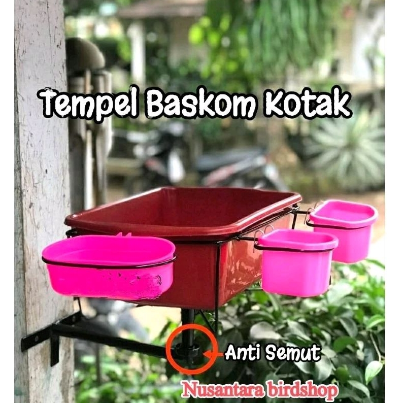 Tempat pakan ternak Murai tempel kotak