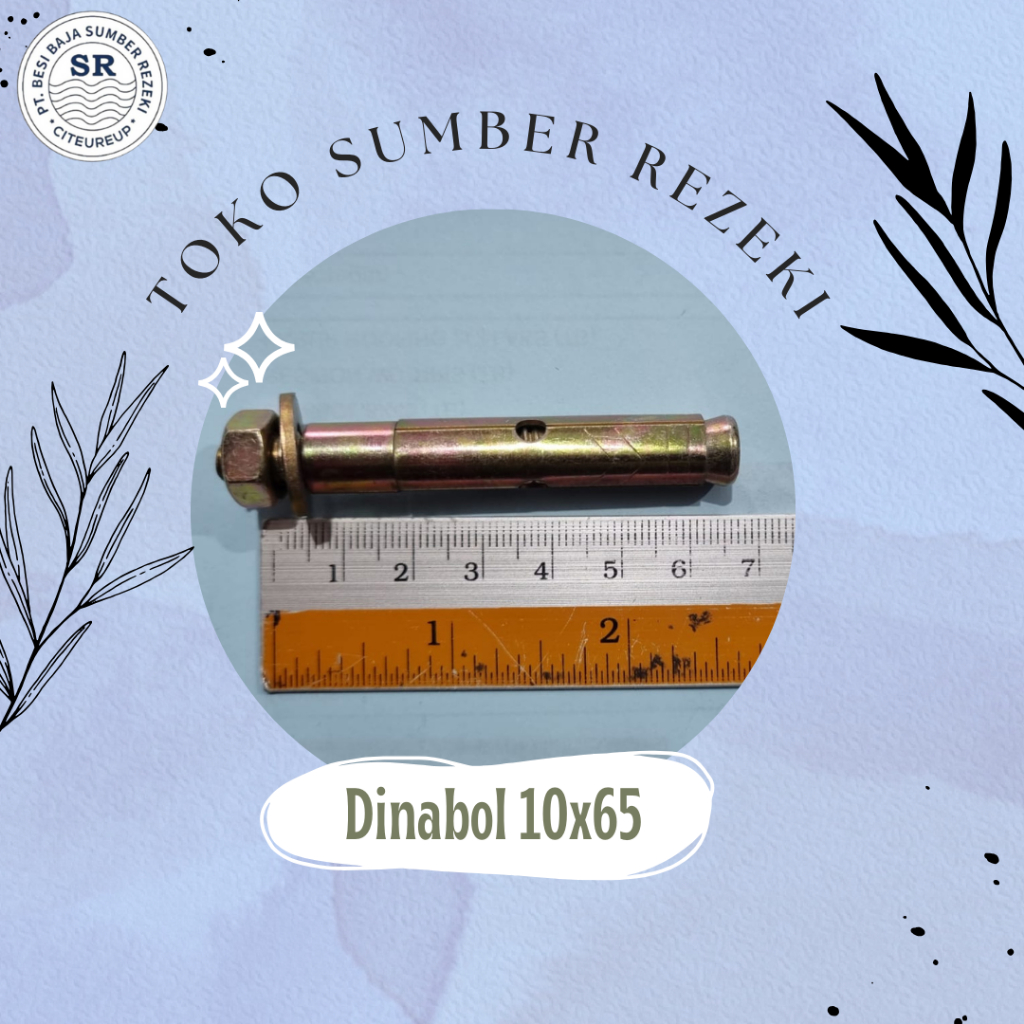 DINABOLT/DYNABOLT 10X65