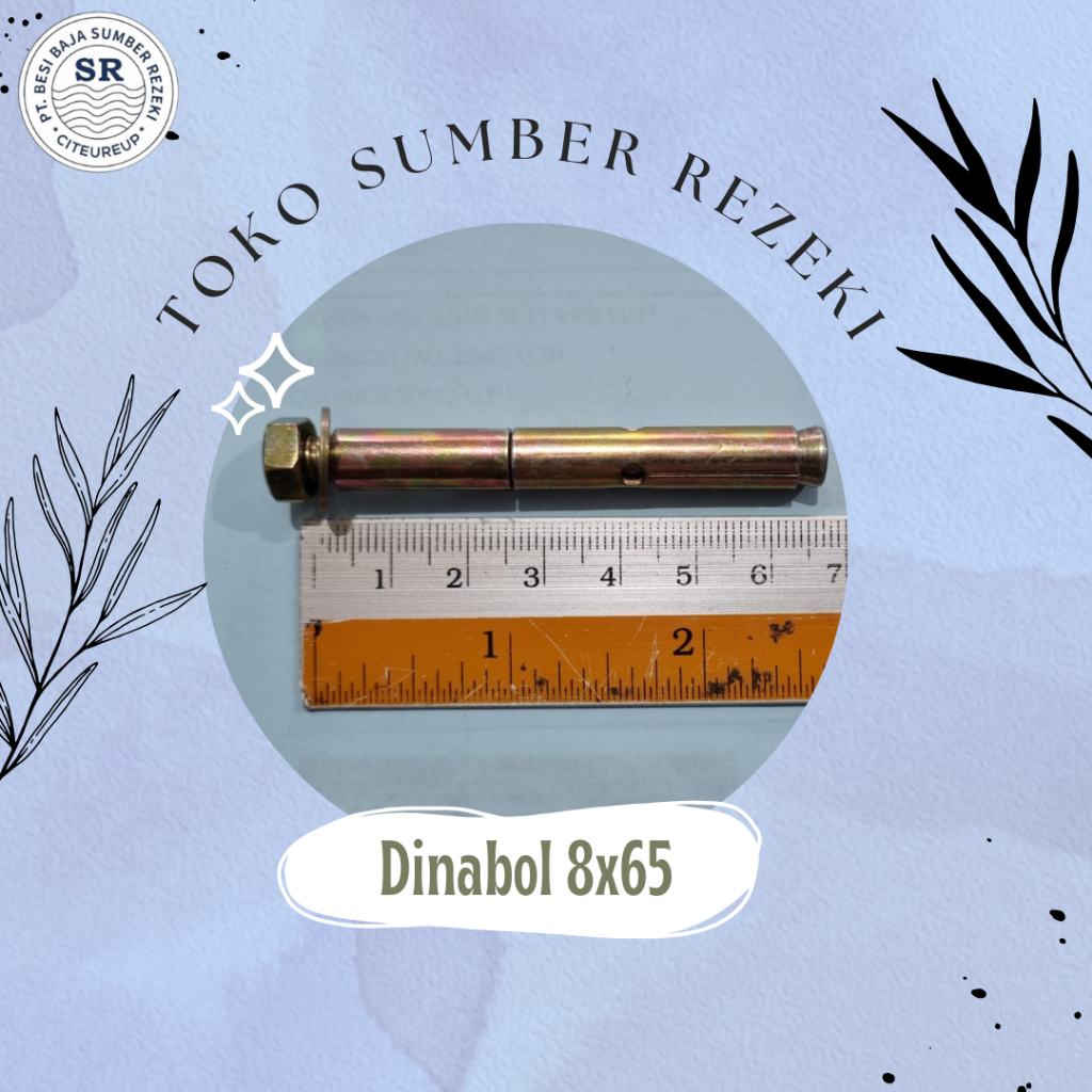 DINABOLT/DYNABOLT 8X65