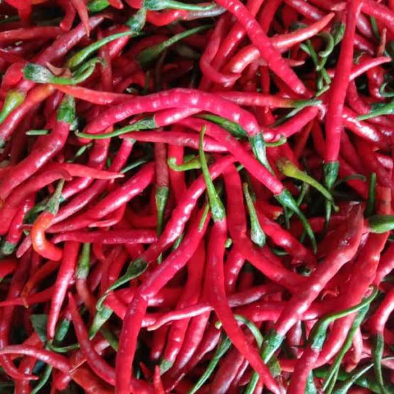 

Cabe Merah Keriting 1kg / cabai merah