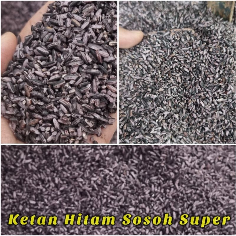 Ketan Hitam Sosoh Super 25 KG Beras Ketan PK - Bambu Wangi