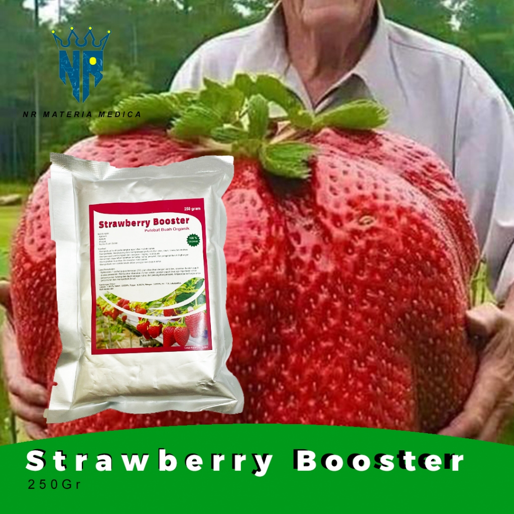 pupuk booster strawberry pupuk perangsang buah melebatkan menyuburkan