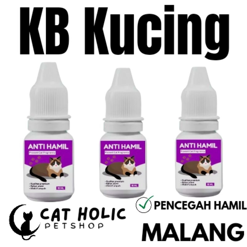 Obat KB Kucing Anti Hamil