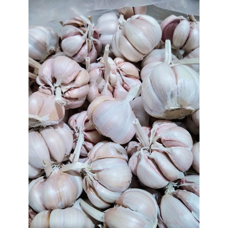 

bawang putih 1/2,kg