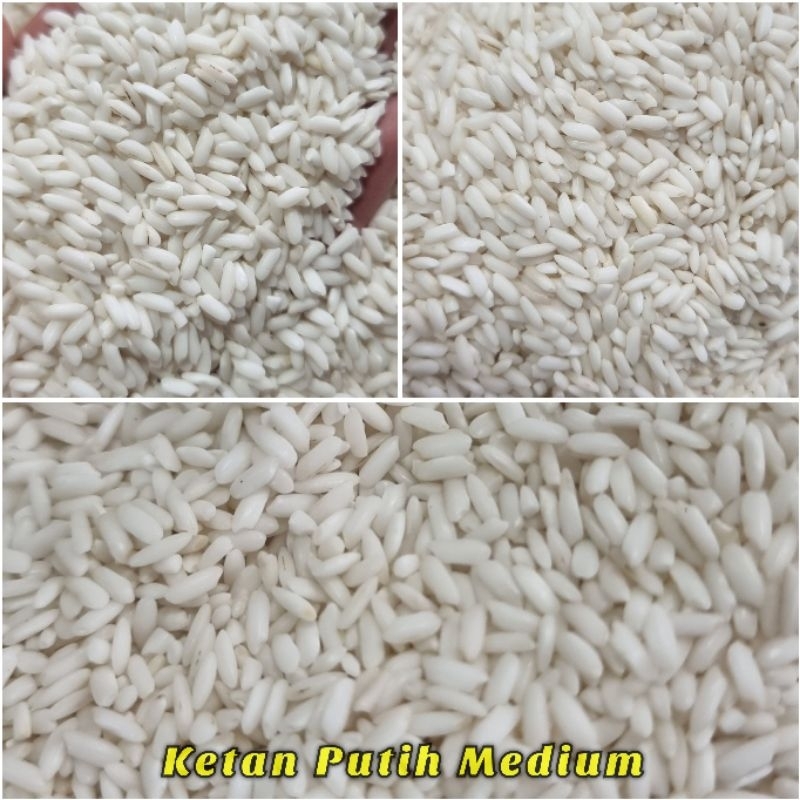 

Ketan Putih Medium 1 KG Beras Ketan Original - Bambu Wangi