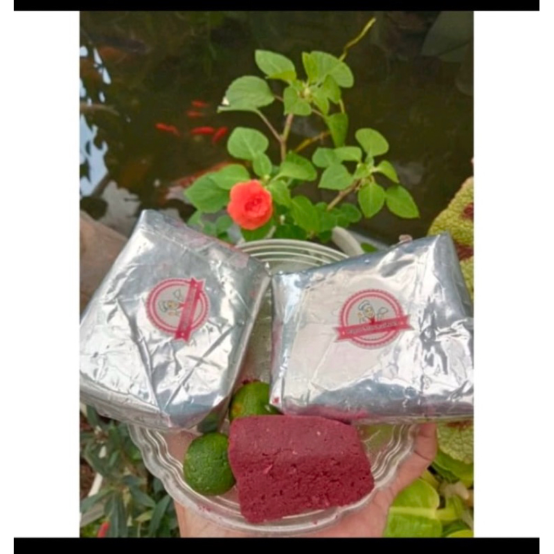 

terasi mentah viral garut