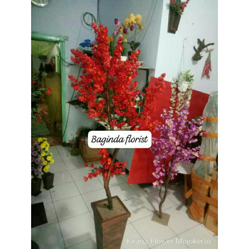 bunga sudut ruangan bunga sakura+pot