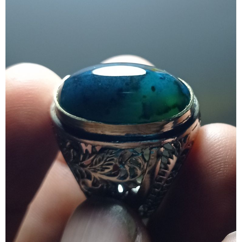 bacan doko totol coklat