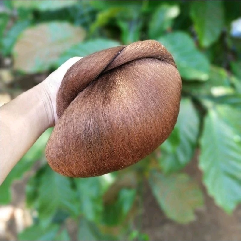 sanggul tagel instan / sanggul tagel / sanggul modern