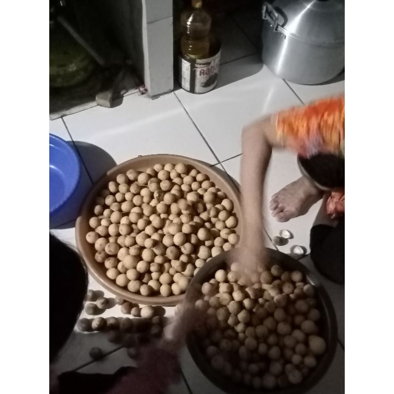 

Duku has pangandaran enak di makan