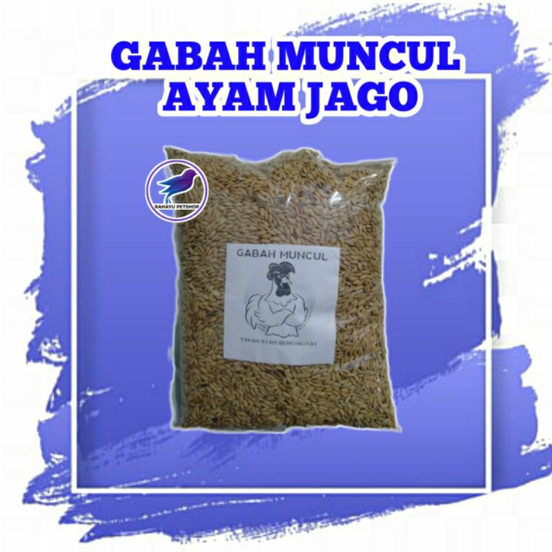 Gabah ayam Bangkok 1kg