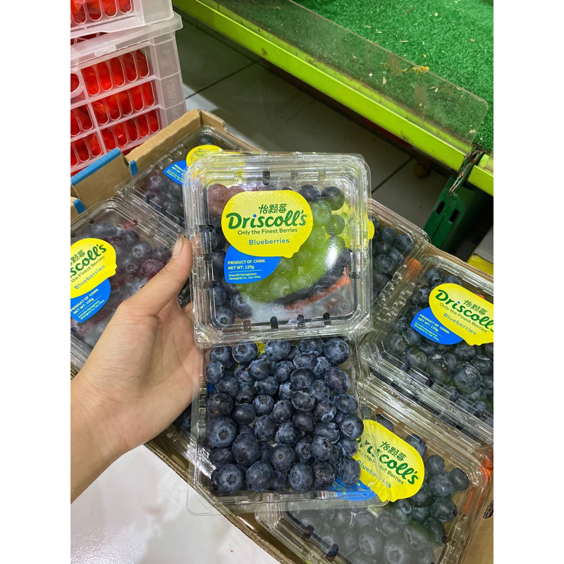 

bluberry import kemasan 125g fresh dan 250gr