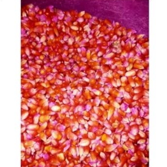 BENIH JAGUNG KRISTAL 1KG