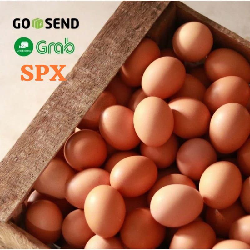 

Telur Ayam Negri Size Sedang Ukuran Pas Teman Indomie Telur Fresh Egg Hanya Pengiriman Instant