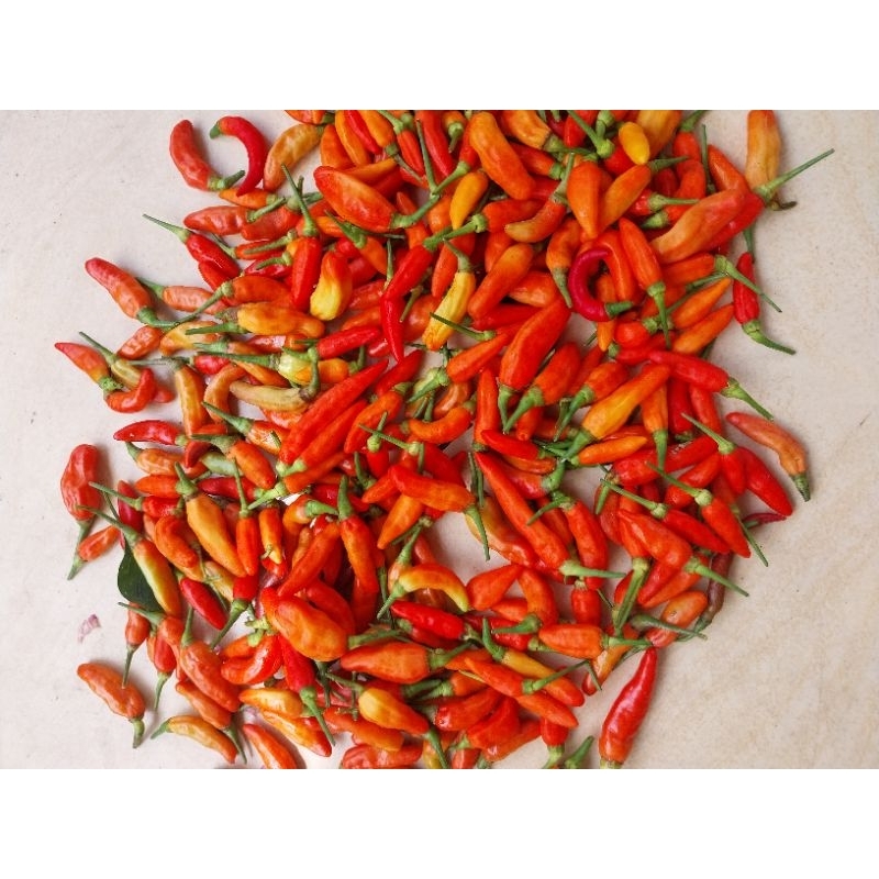 Cabe Rawit / Cabai Rawit Merah 1 Ons / 100 Gr