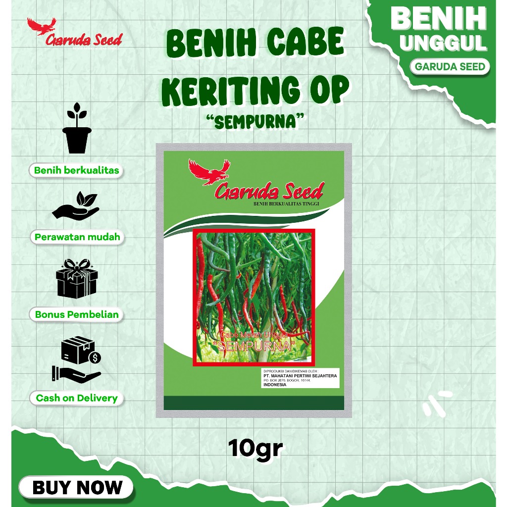 Benih Bibit Cabe Keriting Unggul Sempurna 10 Gram Garuda Seed
