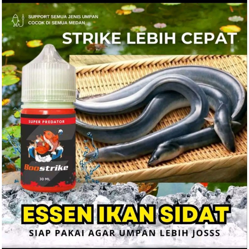 ESSEN UNTUK IKAN SIDAT | ESSEN PERANGSANG IKAN SIDAT ISI 30ML | Essen Pancing Aroma Gurih & Amis Unt
