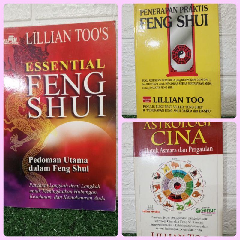 buku buku Feng Shui - Lilian Too dll