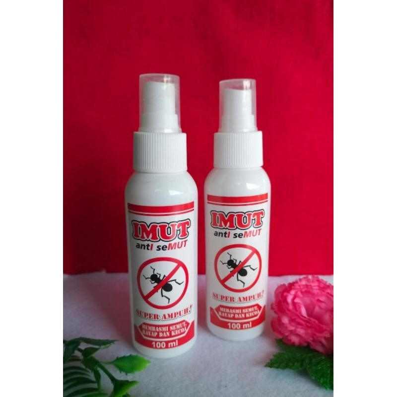 imut anti semut