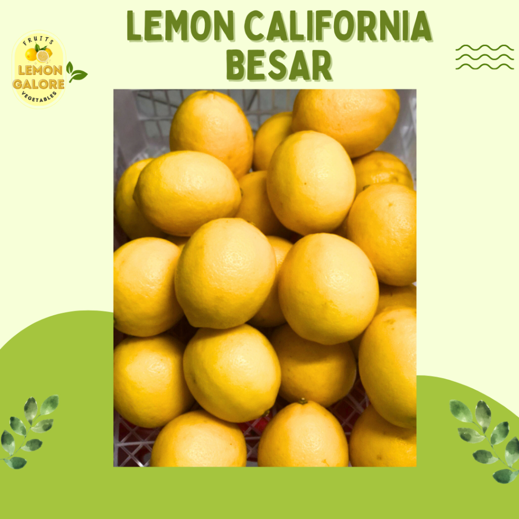 

BUAH SEGAR LEMON CALIFORNIA LOKAL PREMIUM DAN FRESH