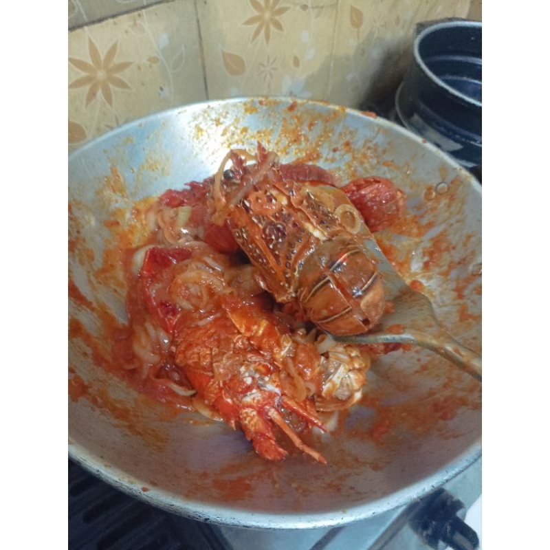 

LOBSTER SAUS PADANG / SEA FOOD / LOBSTER KILOAN 1KG ISI 2-3 / SUDAH TERMASUK MASAK BU SRI / SAUS PADANG / SAUS TIRAM / ASAM PEDAS MANIS.