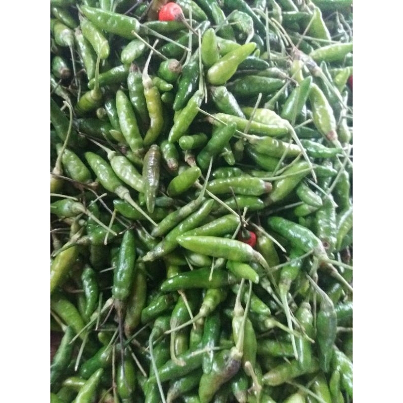 

cabe rawit hijau segar