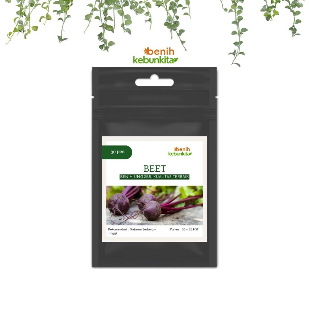 Biji Benih BIbit Tanaman Buah Bit Beetroot Kemasan Premium Aluminium | Buah Beet