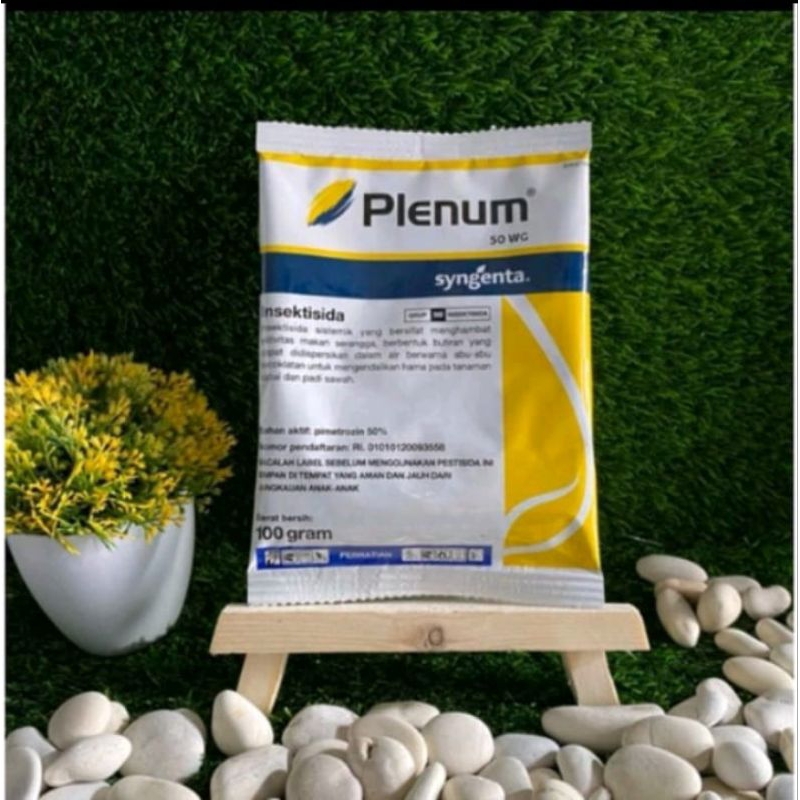 plenum 100gram