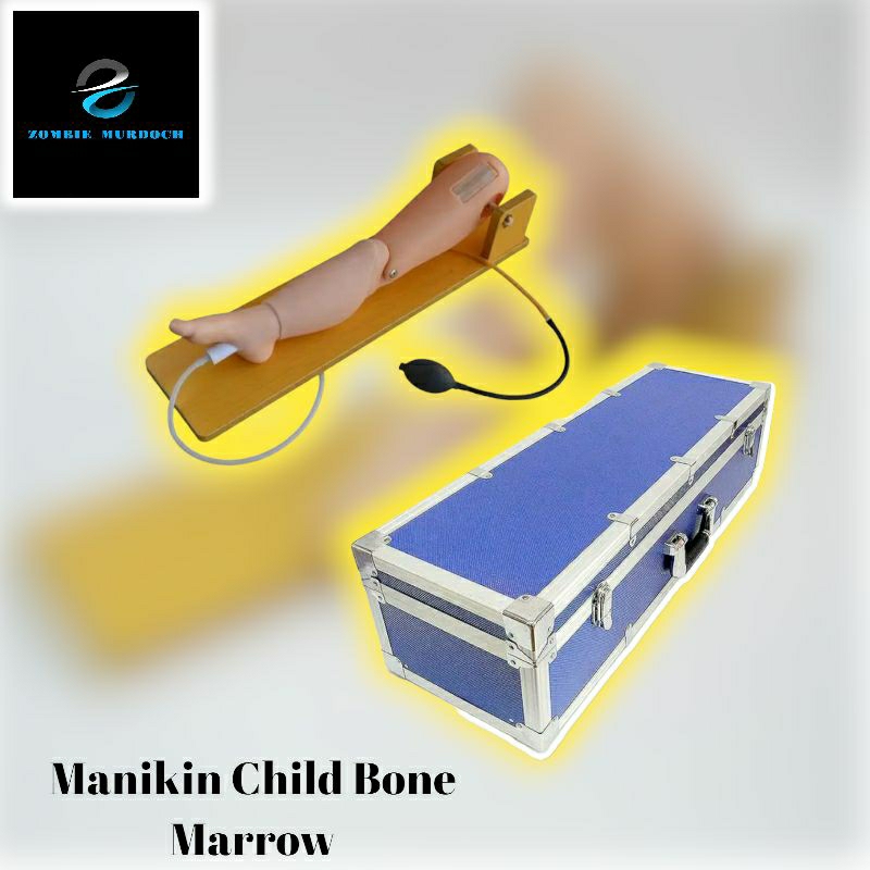 Manikin Child Bone Marrow