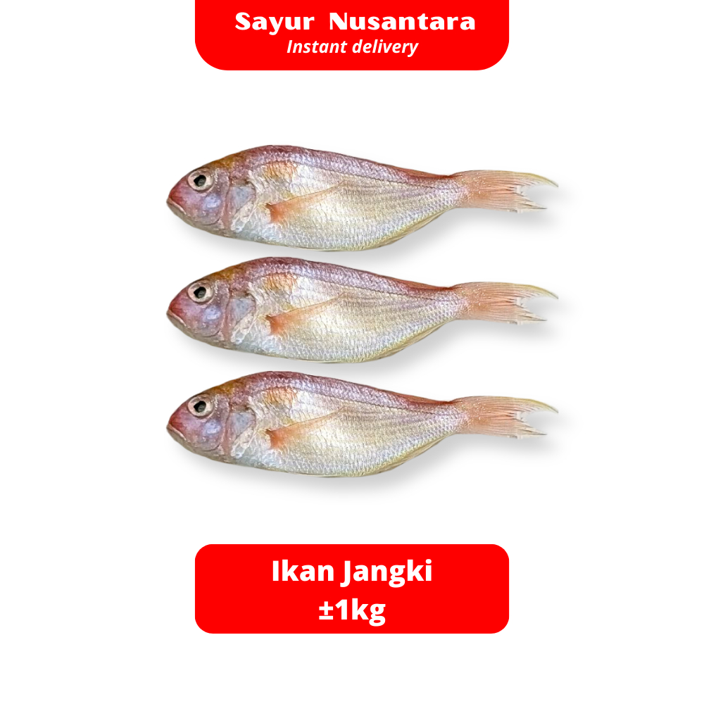 

Ikan Jangki Fresh Frozen -+1kg - Sayur Nusantara