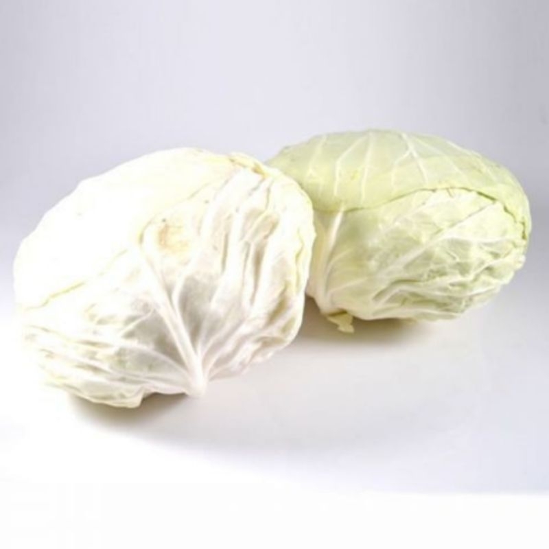 

SAYUR KOL SUPERR 1000gram