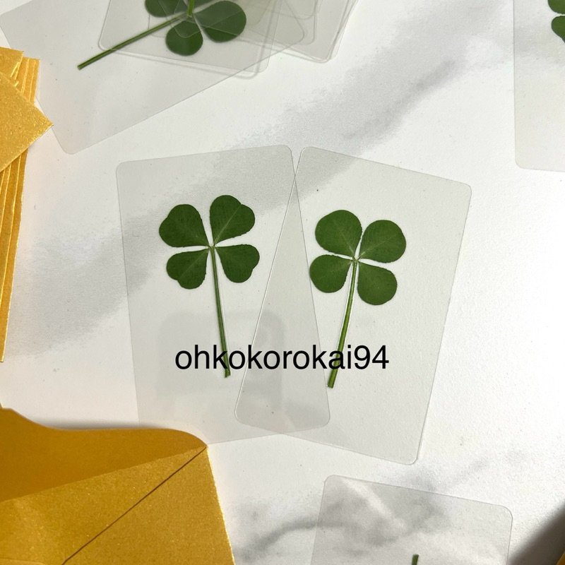 

four clover bookmark keyring daun lucky queen of tears hong haein asli korea drama clover