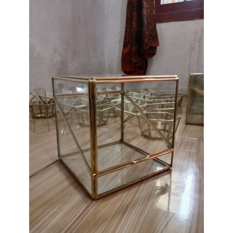kotak cincin terarium motif (kotak buaya)