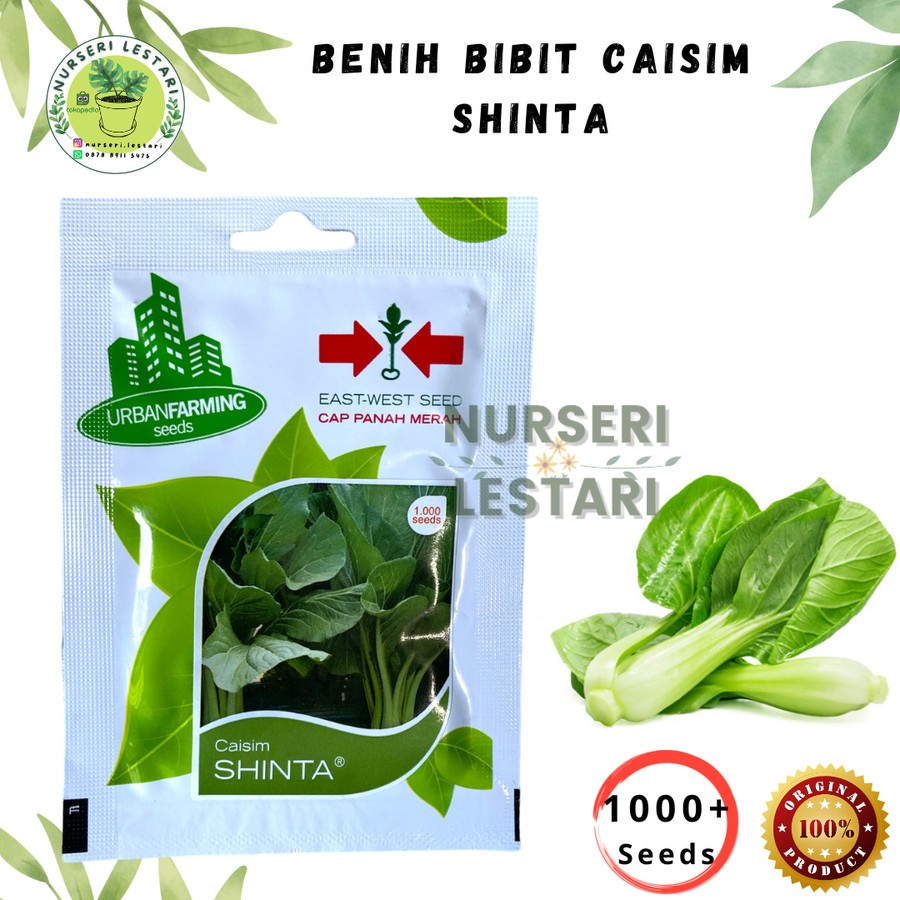 Benih Biji Bibit Caisim / Sawi Hijau Shinta - Cap Panah Merah
