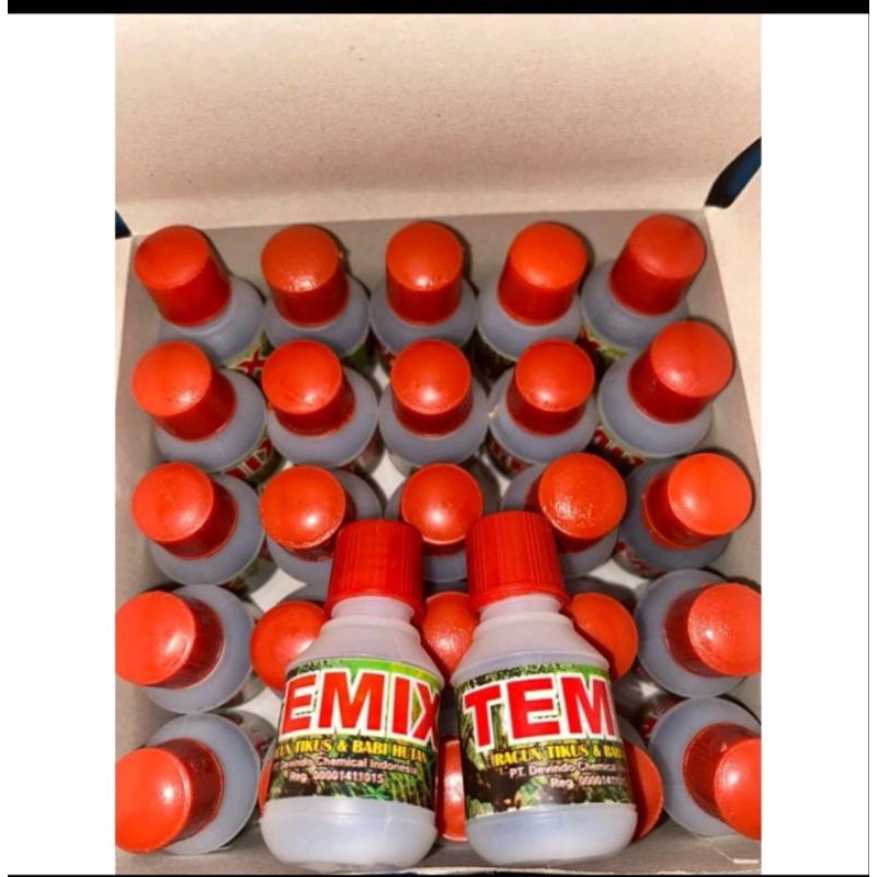 TEMIX RACUN TIKUS DAN BABI HUTAN