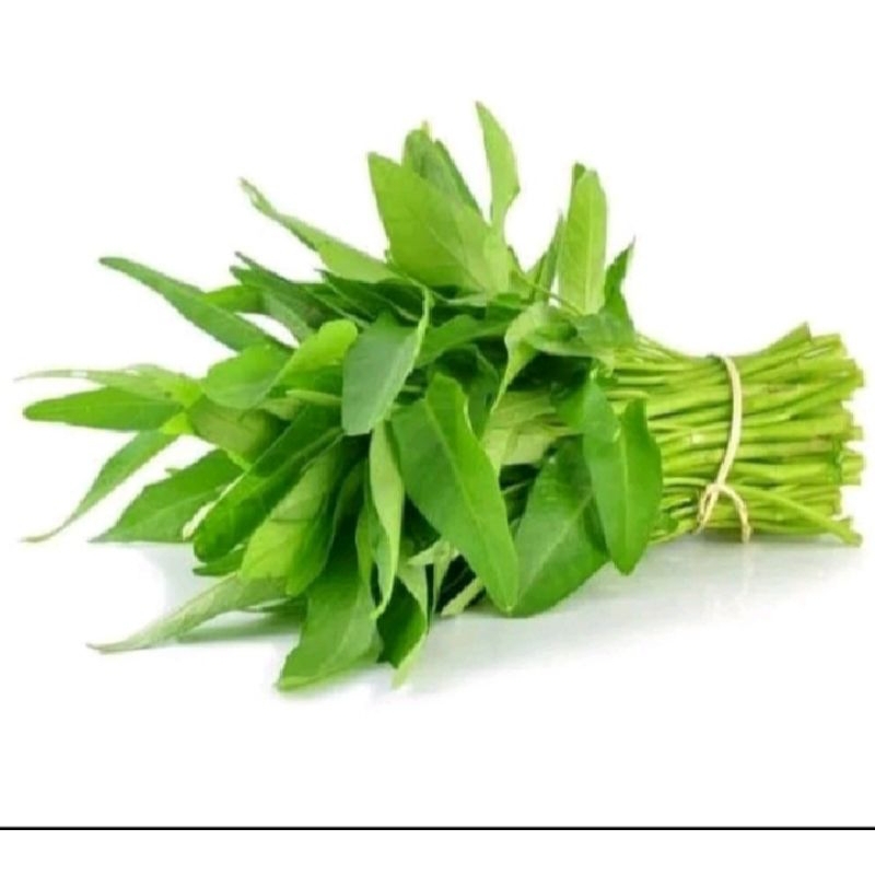 

Kangkung fresh tanpa akar 1pack
