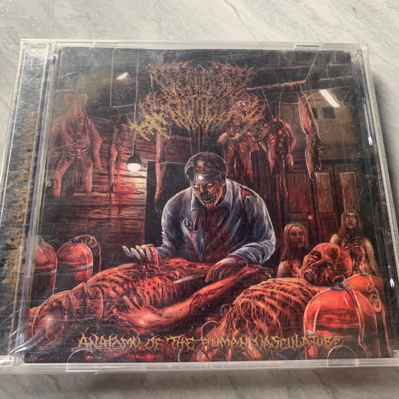 SENSOR MOTORIK anatomy OF the human vasculature - CD ORIGINAL & BERLISENSI Valist records