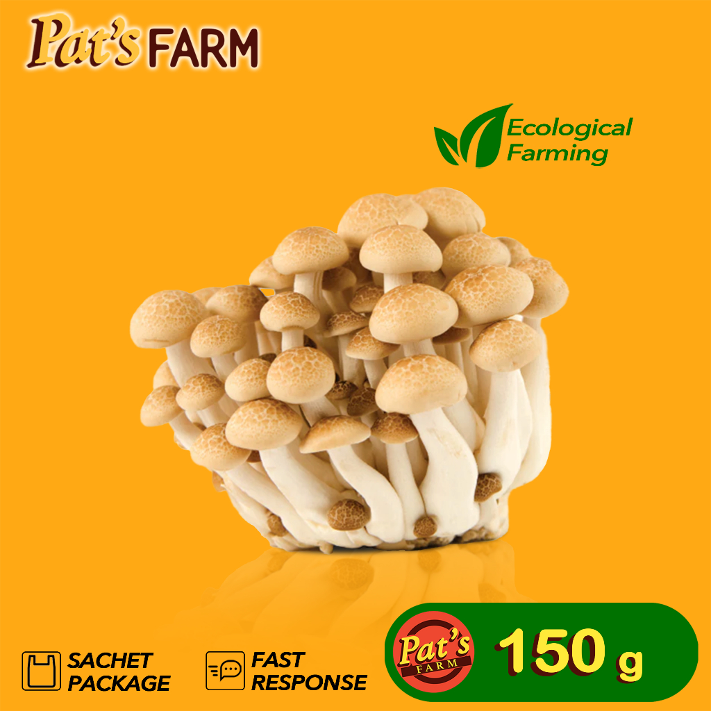 

Jamur Shimeji Coklat / Brown Shimeji Mushroom