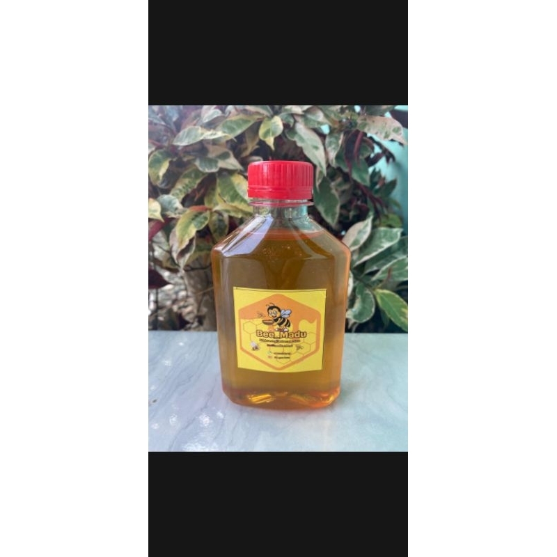 

MADU HUTAN KALIMANTAN,250ml