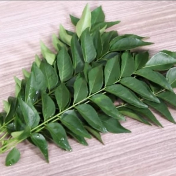 

Daun Kari Segar Daun Salam Koja Bebas Pestisida per tangkai