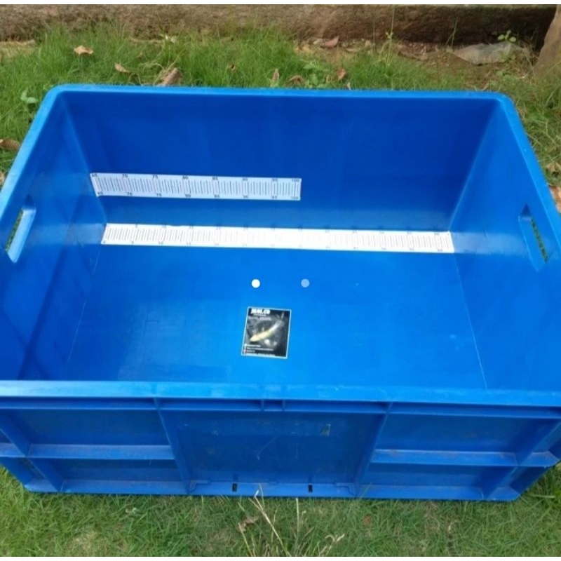 BAK UKUR IKAN KOI 63cm + STIKER UKUR ANTI AIR  PXLxT 65x50x29CM BAHAN PLASTIK BOX IKAN KURA REPTIL