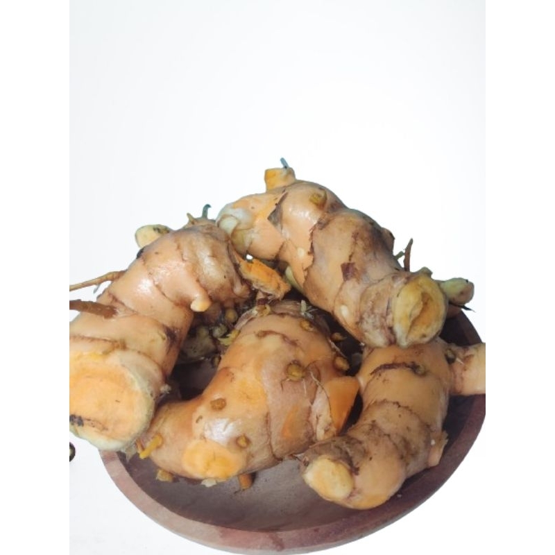 

Temulawak segar 1kg/Temulawak fresh