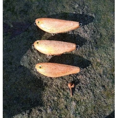 Lure pencil kayu stickbait wtd 5 cm