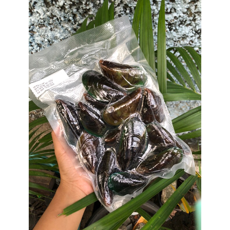 

Green Mussels Large 500gr
