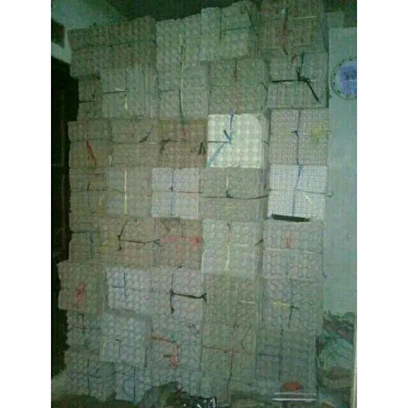 

egg tray / wadah telor