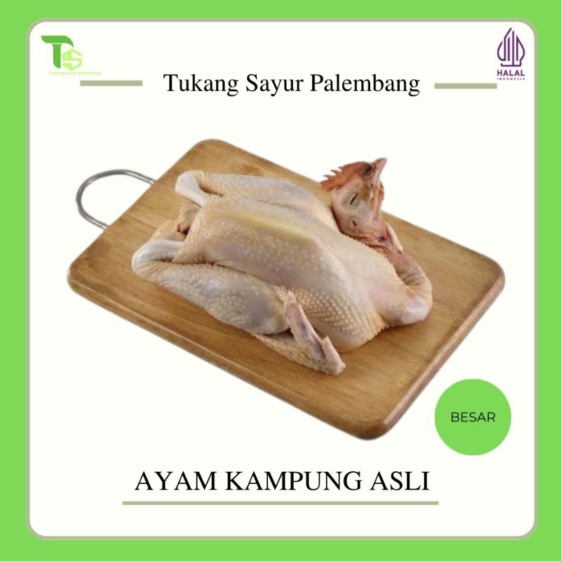 Ayam Kampung - Ayam kampung Asli - Ayam kampung Palembang - Ayam kampung potong - Berat 1.5 kg