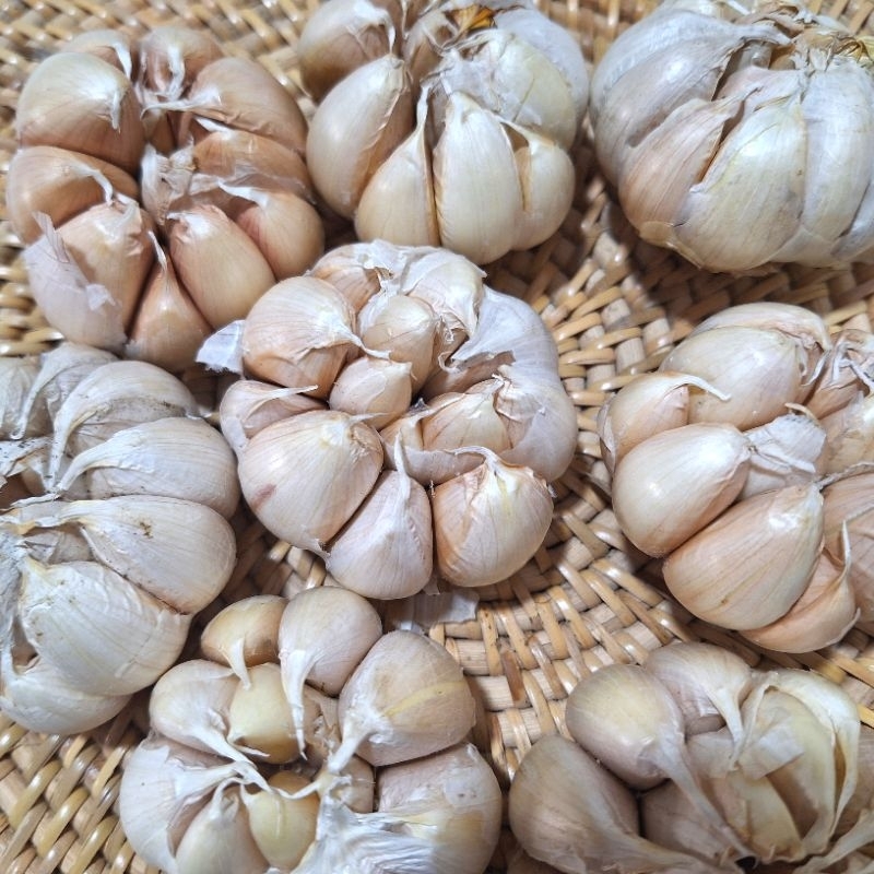

Bawang Putih 250 Gram