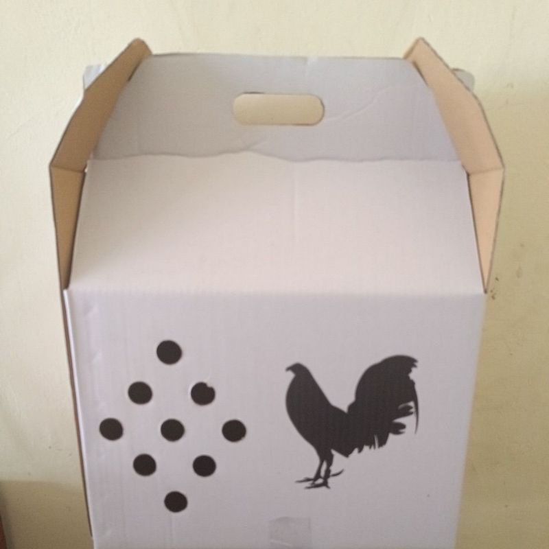 

BOX AYAM KARDUS