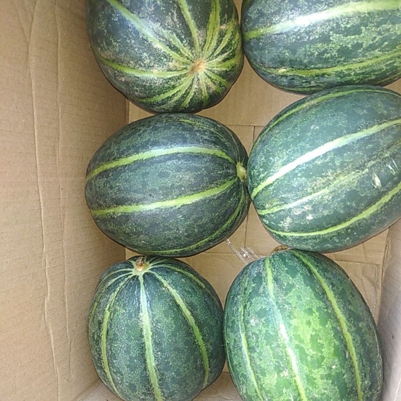 

Buah Blewah / Belewah Segar